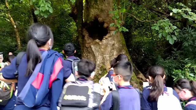 20220626-沙頭角時空穿梭之旅_03上山下鄉篇 (荔枝窩)