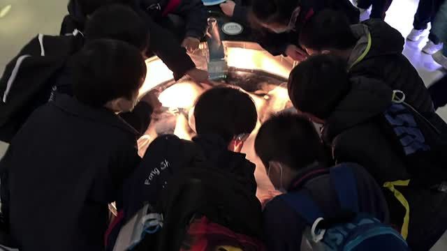 主題學習週2023-02-03