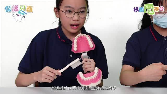 保護牙齒_葉_馬