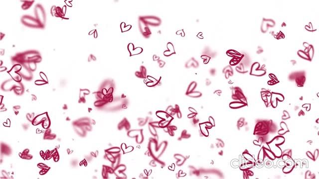 2425方小好聲音入圍 No .5