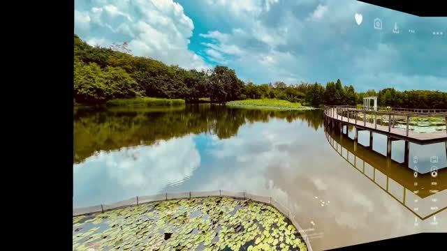 2425 一年級試後活動 濕地公園之旅